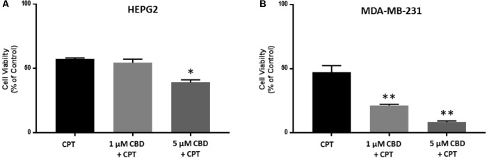 CBD sensitizes HEPG2 and MD-MB-231 cancer cells to cisplatin-mediated apoptosis. HEPG2 (A) and MDA-MB-231 (B) cells were treated with 1 or 5 μM CBD for 24 h prior to further 24 h incubation with cisplatin (CSP, 100 μM). Cell viability was assessed by MTT assay. Data shown is repeated three times with three technical replicates per plate. Data is represented as mean ± SEM. ∗p < 0.05, ∗∗p < 0.01 versus untreated control cells.