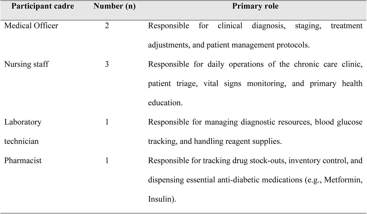 Professional profile of key informants (N=8)
