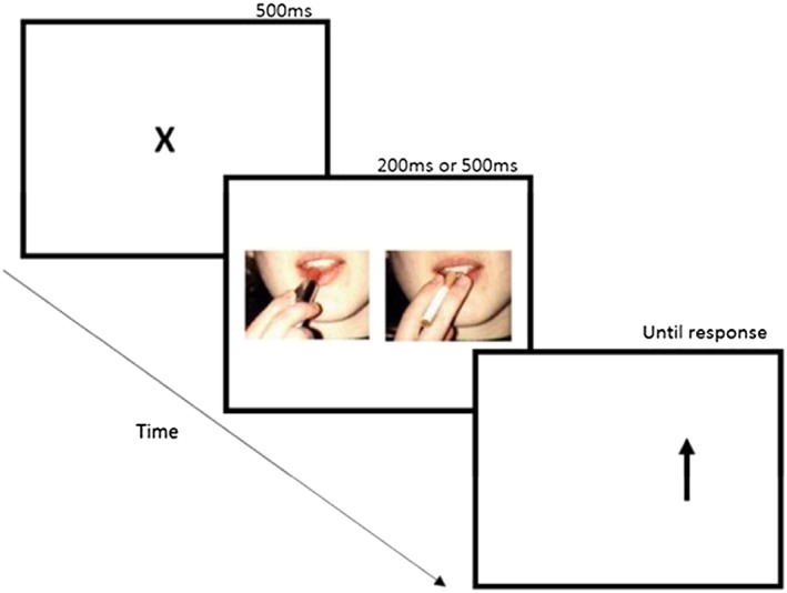 Trial structure for the visual probe task. Example of cigarette (right) and matched neutral stimuli (left) provided. [Colour figure can be viewed at http://wileyonlinelibrary.com]