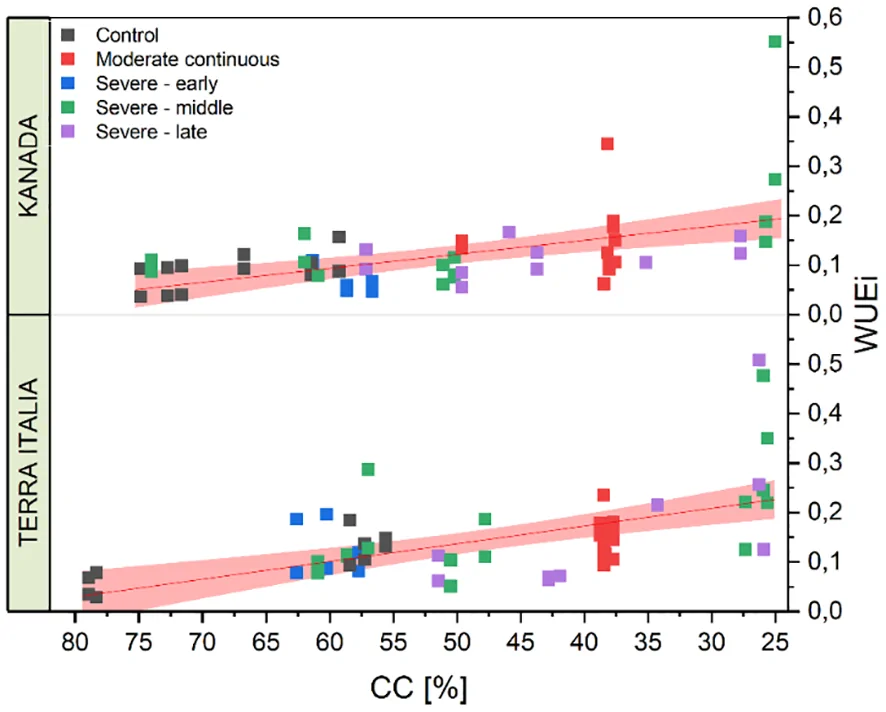 Scatter plot with trend lines displaying the relationship between container capacity (CC, x-axis) and water use efficiency index (WUEi, y-axis) for two genotypes: KANADA and TERRA ITALIA. Data are categorized by treatment: control (black), moderate continuous (red), severe early (blue), severe middle (green), and severe late (purple). Points show higher WUEi with decreasing CC. Red trend lines with shaded confidence intervals represent moderate continuous treatment in both regions.