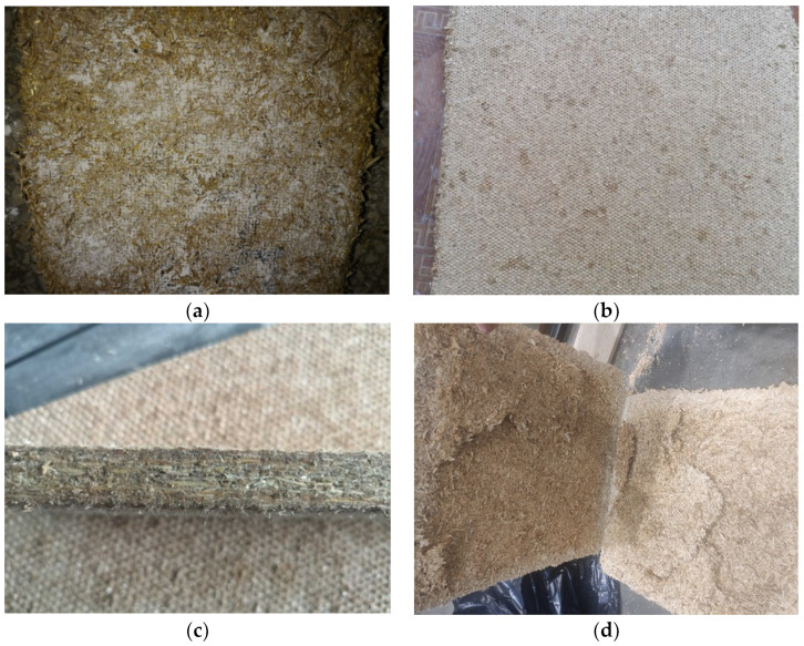 Board view at different water content (in %): (a) unbound starch due to lack of water on the surface of the board (7.5); (b) free of visible unreacted binder powder on the surface of the boards; (c) there are no visible cracks in the middle of the board; (d) disintegration of the internal layers of the board due to excessive water content.