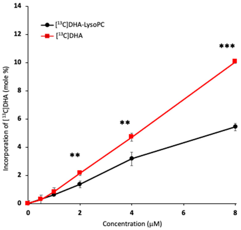 Concentration-dependent DHA incorporation into Neuro2A cells incubated with unesterified DHA or DHA-lysoPC. The cells were incubated with 1–8 μM [13C]DHA-lysoPC or [13C]DHA for 8 h at 37 °C and the cellular DHA content was analyzed by gas–liquid chromatography (GC) after transmethylation using 23:0 free fatty acid as an internal standard. The total uptake of [13C]-DHA by Neuro2A cells after the incubation with unesterified DHA or DHA-lysoPC was compared at equivalent concentrations after subtraction of basal DHA content. Values are the mean ± SD of three separate cultures. ** p < 0.01; *** p < 0.001.