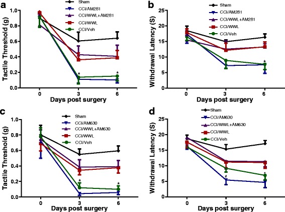 The anti-allodynic and anti-hyperalgesic effects of WWL70 in CCI mice were independent of cannabinoid receptor activation. Co-administration of WWL70 (10 mg/kg) with either CB1R antagonist AM281 (3 mg/kg) (a, b) or CB2R receptor antagonist AM630 (3 mg/kg) (c, d) in the CCI mice resulted in similar anti-allodynic and anti-hyperalgesia effects compared to the WWL70 alone treatment group. Treatment with AM630 itself exhibited an exaggerated thermal hyperalgesia compared to the CCI vehicle group on day 3. #p < 0.05 (d). No changes were seen by AM281 treatment alone (b). *p < 0.05 was obtained when the CCI vehicle group was compared to the WWL70, WWL70 plus AM281, and WWL70 plus AM630 treatment groups (a–d; mean ± S.E.M., n = 7/group)