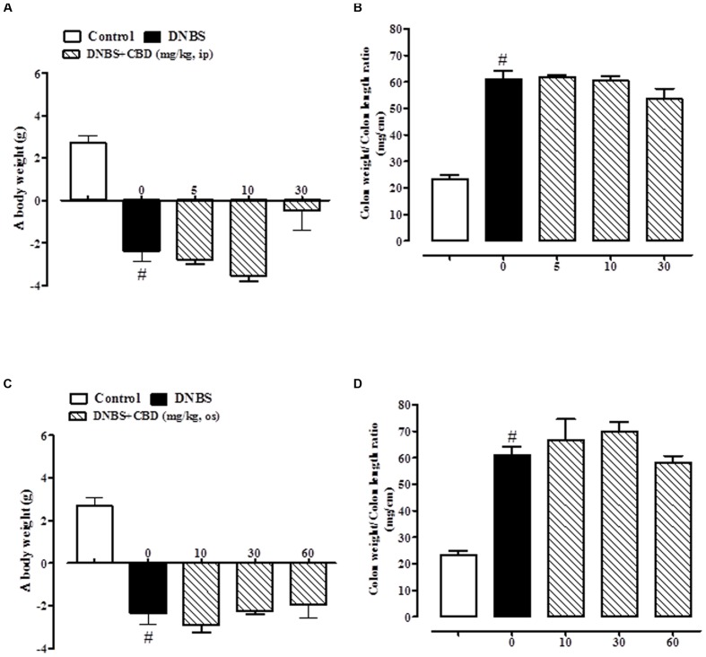 Effect of pure CBD (5–30 mg/kg, intraperitoneally) on body weight (A) and colon weight/colon length ratio(B) and effect of pure CBD (10–60 mg/kg, by oral gavage) on body weight (C) and colon weight/colon length ratio(D) in DNBS induced colitis in mice (DNBS, 150 mg/kg, intracolonically). Pure CBD was given once a day for three consecutive days starting from 1 day after DNBS administration. Mice were euthanized 3 days after DNBS. Mice were weighted before DNBS (or vehicle) administration and immediately before the sacrifice. Bars are mean ± SEM of 8–12 mice for each experimental group. #p < 0.001 vs. control.