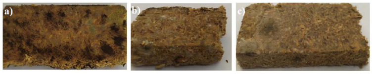 Microbial growth on the biocomposite boards: (a) biocomposite boards without additives (H-type); (b) F-type of biocomposite boards with the multifunctional aqueous mixture based on phosphorus and nitrogen organic compounds Flovan; (c) G-type biocomposite boards with the expandable graphite.