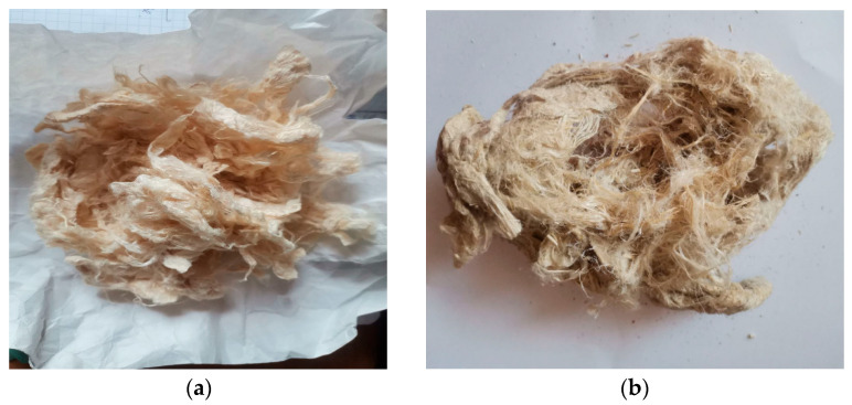 Cellulose fiber after alkaline (a) and after EHE (b) delignification.