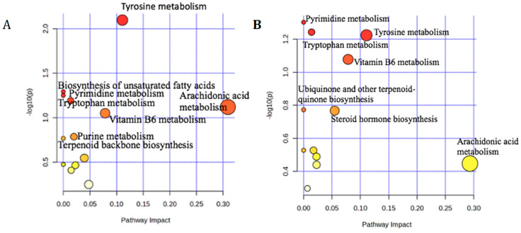 Pathway analysis summary plots using goat feces from Bermudagrass (A) and Sunn Hemp (B). Both plots show the top 14 pathways for Bermudagrass and the top 12 pathways for Sunn Hemp implicated in H. contortus infection.