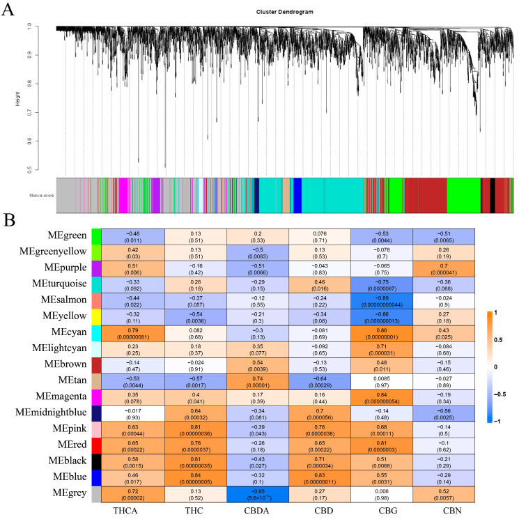 WGCNA of TIFY in C. sativa. (A) WGCNA modularity analysis of the C. sativa genome. (B) Association analysis between gene modules and cannabinoids.