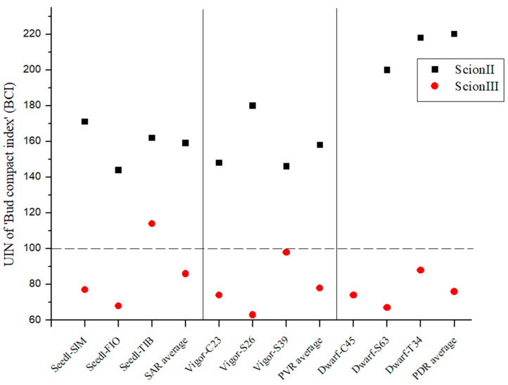 Bud compact index of two plant scion genotypes grafted on 9 different rootstocks expressed as UIN, where value of 100 represent control combination (non-grafted plants). SIM, S—population ‘Simba’, FIO—variety ‘Fiona’, TIB, T—variety ‘Tiborszallasi’, C—variety ‘Carmagnola’, Seedl, SAR—seedling-as-rootstock combination, Vigor, PVR—potentially vigorous rootstocks, Dwarf, PDR—potentially dwarfing rootstocks, ScionII—scion of chemotype II, and ScionIII—scion of chemotype III.
