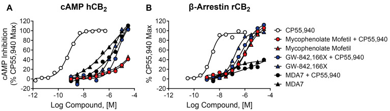 Differential activity of CB2 agonists in cAMP and β-arrestin assays. Concentration–response curves in (A) cAMP assays and (B) β-arrestin recruitment assays, in the presence or absence of an EC20 concentration of agonist CP55,940, are shown for mycophenolate mofetil (red), GW-842,166X (blue), and MDA7 (black). Control concentration–response curves for CP55,940 are shown in white. Data represent at least one independent experiment run in duplicate. Data are plotted as a percentage of the maximal CP55,940 response.
