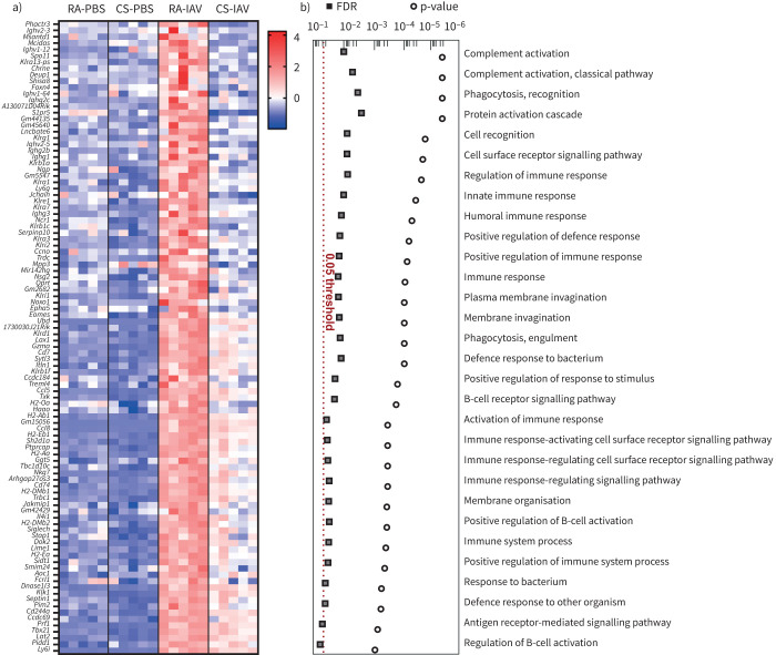 Cannabis smoke (CS) exposure suppresses influenza A virus (IAV)-associated upregulation of immune system pathways in the lungs of female mice. a) Heatmap of top 100 genes upregulated in IAV-infected mice and downregulated by cannabis smoke exposure as assessed via lung RNA sequencing, ordered by p-value, z-scores ranging from 4 (red) to −2 (blue). b) Gene ontology analysis of those differentially expressed genes. n=5 per group. FDR: false discovery rate. Significance at <0.05 (red dotted line). RA: room air control.