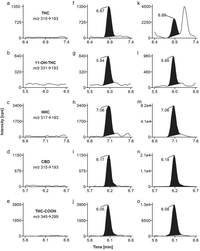Alt Text: Figure 1 depicts MRM ion chromatograms for the analytes THC, 11-OH-THC, HHC, CBD, and THC-COOH. In the left column, empty ion traces are shown for each analyte resulting from analysis of an extracted blank plasma sample. In the middle column, for each analyte, MRM ion chromatograms for a plasma sample fortified at limit of quantification are presented. Chromatographic peaks are visible at the specific retention time of each analyte. The right column shows MRM ion chromatograms of an analyzed representative casework plasma sample containing all target analytes. Here, chromatographic peaks are visible at the specific retention time of each analyte.