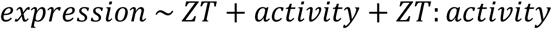 Formula