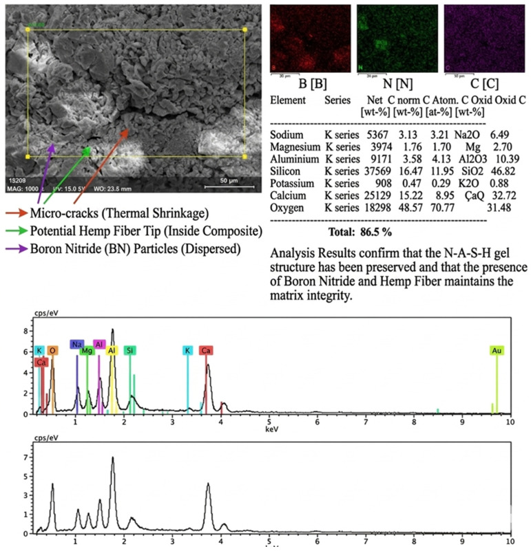 EDS image of the BN-modified hemp nanofiber reinforced sample subjected to 300 °C heat treatment.