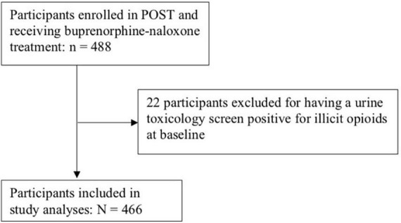 Participant-flow diagram.