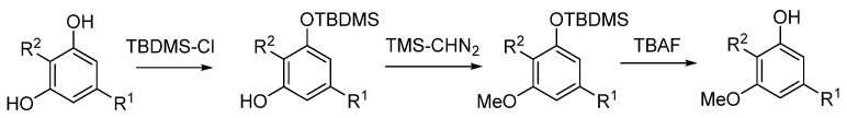 Synthesis of O-methylphytocannabinoids. R1 = n-pentyl; R2 = 2,8-menthadien-3-yl (CBD-OMe) or geranyl (CBG-OMe).