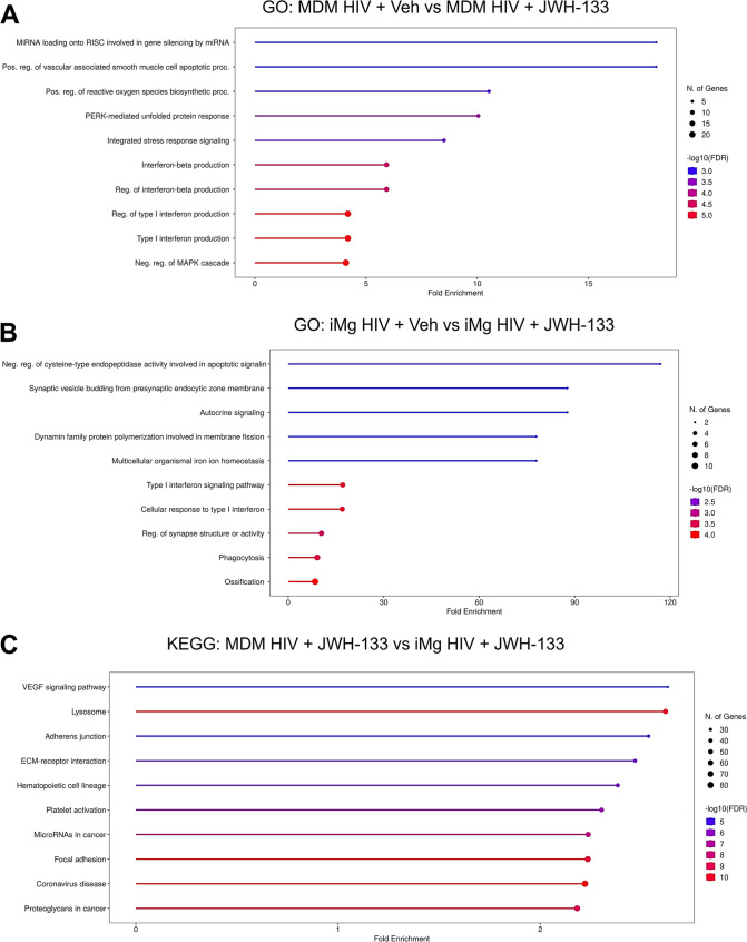 RNA-seq identifies convergent and divergent responses to CB2 signaling between HIV-infected MDMs and iMg. a, b. Top 10 GO biological process gene sets enriched in the significant differentially expressed genes (DEGs) in comparison between HIV-infected/vehicle-treated and HIV-infected/JWH-133 treated (a) MDMs and (b) iMg. c. Top 10 KEGG gene sets enriched in the significant DEGs in comparison between HIV-infected/JWH-133-treated MDMs and iMg. n = 2 MDM donors and 2 iMg lines