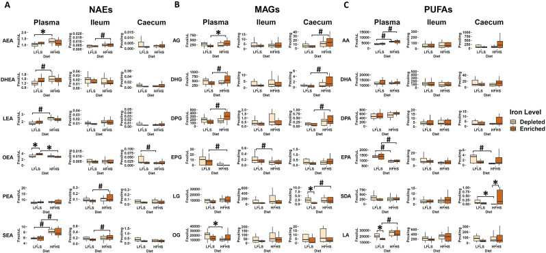 Diet and Fe modulation of endocannabinoidome mediators and some of their corresponding fatty acids. Boxplot representation of the eCBome mediators. (A) N-acylethanolamines (NAEs), (B) 2-monoacylglycerols (2-MAGs), and (C) long chain ω-6 and ω-3 polyunsaturated fatty acids (PUFAs) response to Fe-depleted and Fe-enriched LFLS or HFHS diets. Data are expressed as the mean ± SEM (n = 12). P values of linear contrast analysis are detailed when significant (p < 0.05) using contrast tests between enriched and depleted Fe levels, LFLS and HFHS formulations, and the combination between Fe levels and formulations. The star ‘*’ symbol was used to show the effect of Fe alone or in interaction with LFLS or HFHS. The numeral ‘#’ symbol was used to denote the effect of only LFLS or HFHS. The samples were analysed at day 28 of the study.