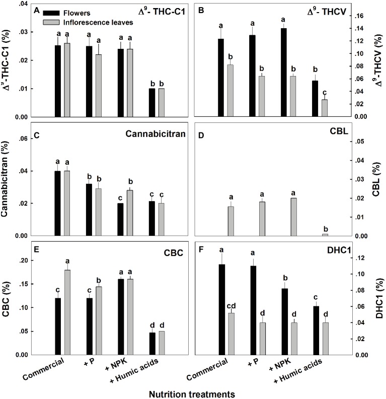 Concentration of minor cannabinoids in flowers and inflorescence leaves of medical cannabis plants, as affected by enhanced nutritional supplementation. Δ9-THC-C1 (A), Δ9-THCV (B), CBT (C), CBL (D), CBC (E), DHC1 (F). The top inflorescence of the plant was analyzed. Presented data are averages ± SE (n = 6). Different letters above the bars represent significant differences between treatments by Tukey’s HSD test at α = 0.05.