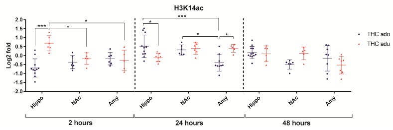 Comparison of Δ9-THC effect on H3K14ac in adolescent (THC ado) and adult (THC adu) animals in the different brain areas. Data are reported as log2 fold. Mean ± SD are shown. * p < 0.05, *** p < 0.001 (Tukey post-hoc test).