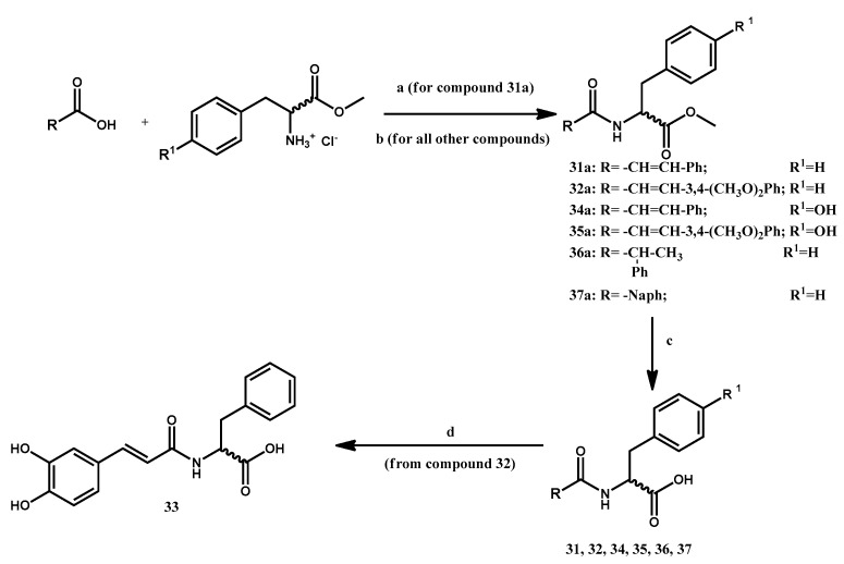 Synthesis of clovamide derivatives 31–37. (a) DCC, HOBt x H2O, TEA, THF/CHCl3, 0 °C→RT; (b) EDCI, HOBt x H2O, N-Methylmorpholine, DMF/CH2Cl2, 0 °C→RT; (c) LiOH x H2O, THF/H2O, 0 °C→RT; (d) BBr3 1M, CH2Cl2.