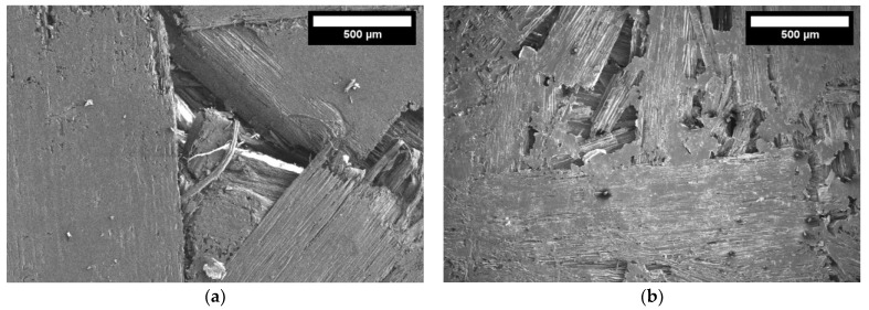 The structure of the board using different amounts of starch (magnification ×100): (a) without starch; (b) 5%; (c) 10%, and (d) 15% starch.
