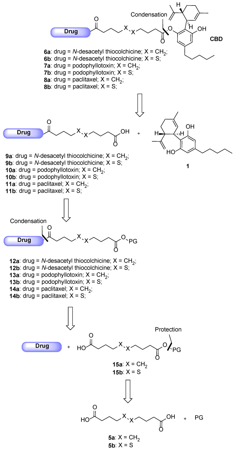 Retrosynthetic pathway for the conjugates 6–8a,b.