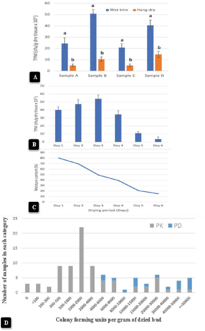 (A) The impact of wet-trim versus hang-dry method dry on TYM in four representative samples of cannabis. In every sample, the TYM levels were significantly higher in the wet trim compared to the hang dry method. Error bars show 95% confidence intervals and vertical bars with different letters are significantly different from each other according to Tukey’s post-hoc test (p < 0.05). (B) Changes in TYM over a 6-day period in hang dry cannabis inflorescences. On each sampling day, 12 random samples were obtained from the drying room and assayed for TYM levels. There was a rapid decline in TYM between days 4 and 6. The experiment was conducted three times with similar results. Standard error bars show 95% confidence intervals. (C) Change in moisture content in hang-dry cannabis samples after 6 days of drying. On each sampling day, 12 random samples were obtained from the drying room and assayed for moisture content and water activity. The final moisture content was 13% (with a range from 11 to14% in repeated samples). (D) TYM levels in two cannabis genotypes over a 12-month period of sampling grouped according to the number of samples that belonged to each TYM category. The hang-dry method was used and analysis of TYM was conducted by a commercial laboratory. The TYM levels in 110 samples ranged from <100 to >50,000 cfu/g. Samples of “Powdered Donuts” contained more overall TYM compared to “Pink Kush”, especially in the >50,000 cfu/g category.