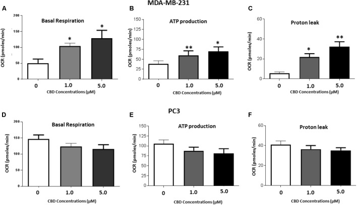 Mitochondrial function alteration following 1 h CBD treatment in MDA-MB-231 and PC3 cancer cells. MDA-MB-231 and PC3 cells were treated with 1 or 5 μM CBD for 1 h prior to mitochondrial functional analysis using the Seahorse Bioanalyser for the following parameters: (A,D) Basal mitochondrial respiration; (B,E) Quantification of ATP production; (C,F) Proton leak. Data shown is repeated three times (for MDA-MB-231 cells) or five times (for PC3 cells) with four technical replicates per plate. Data is represented as mean ± SEM. ∗p < 0.05, ∗∗p < 0.01, ∗∗∗p < 0.001 versus untreated control cells.