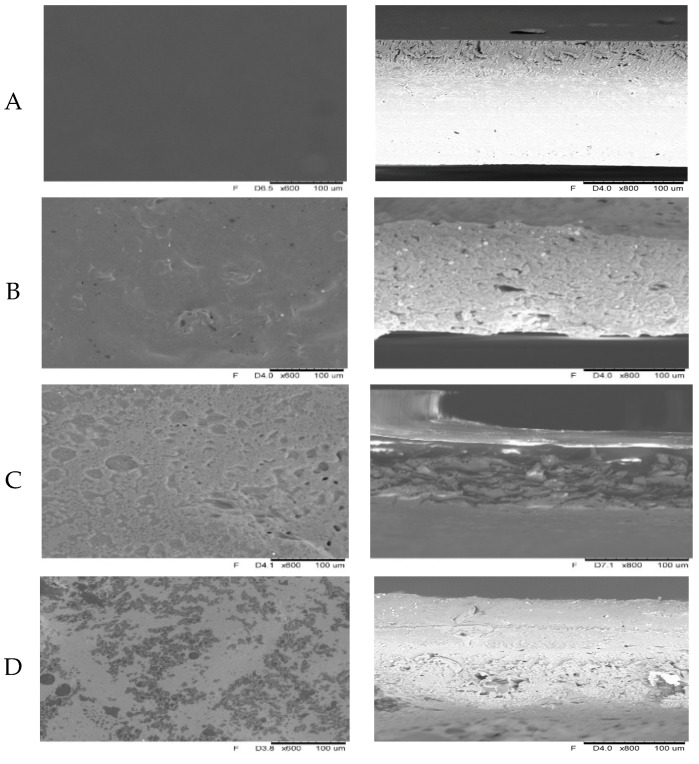 Film micrographs of surfaces and cross-sections of soy protein isolate–oilseed flour films (A—SPI, B—SPI_Flaxseed, C—SPI_Hempseed, D—SPI_Sesameseed, E—SPI_Sunflowerseed, F—SPI_ Evening_primroseseed, G—SPI_Pumpkinseed).