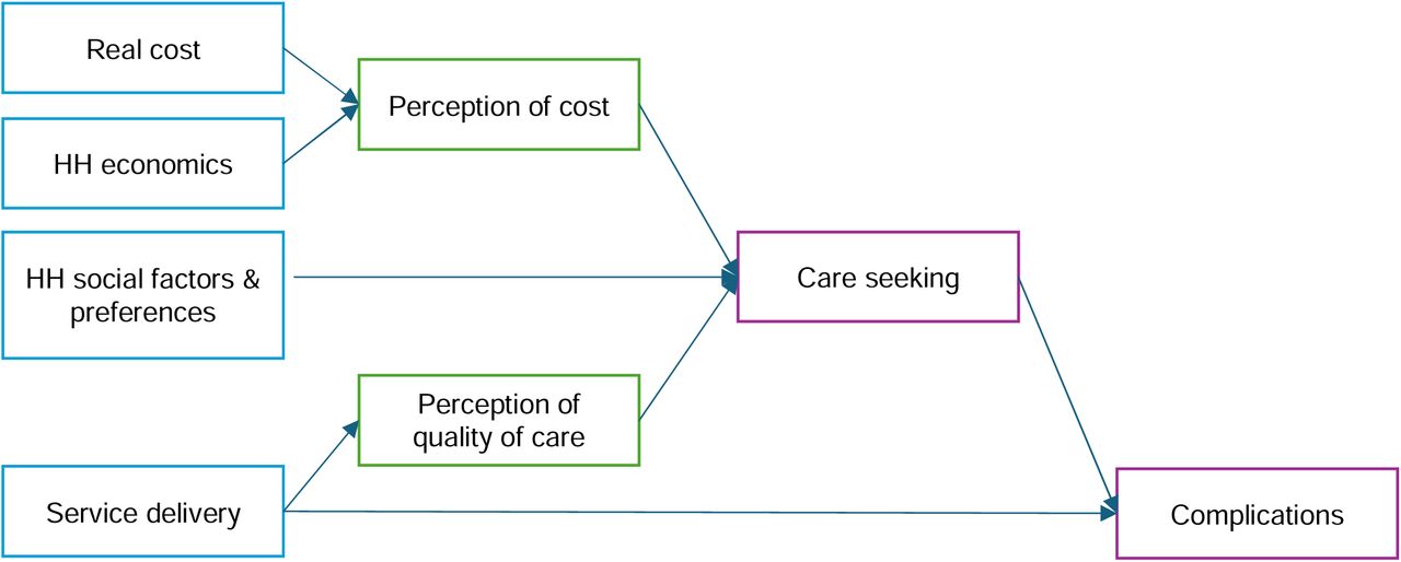Theory of Change Linking Cost, Quality, and Care-Seeking Pathways