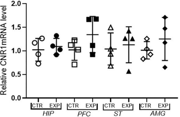 Expression of mRNA f CB1 receptor relative to the constitutive gene (Beta-actin) is shown as mean ± SD. No significant difference was noted between the control and experimental group.