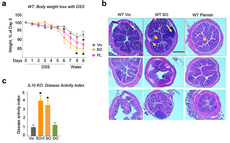Impact of LA on gut microbiome.