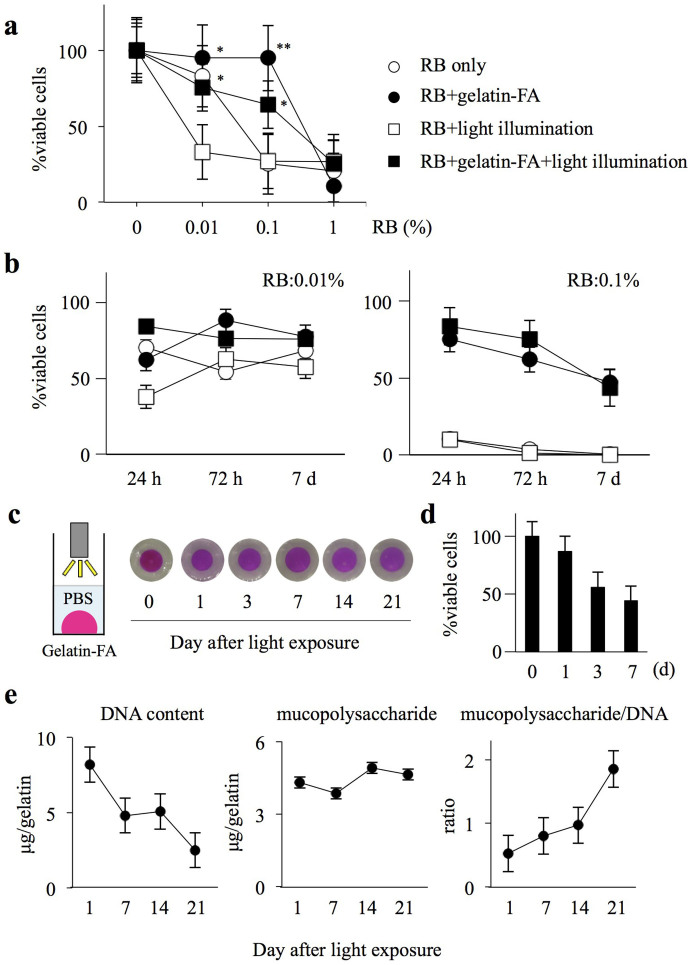Cytotoxicity and phototoxicity.(a) BMSCs (5 × 103 cells) were cultured in gelatin-FA (15%) and various concentrations of RB (0.01, 0.1, and 1%) and gelled by illumination with visible light for 2 min. After 24 h, the % cell viability was determined. *P < 0.05, **P < 0.001, vs. RB + light illumination (5 wells each, Mann–Whitney U test). (b) BMSCs (5 × 103 cells) were cultured in gelatin-FA (15%) plus RB (0.01 or 0.1%). The % viable cells were monitored at 24 h, 72 h and on day 7 after light illumination with visible light for 2 min. Open circle; RB only, closed circle; RB + gelatin-FA, open square; RB + light illumination, closed square; RB + gelatin-FA + light illumination (5 well each). (c) Gelatin-FA (15%) with 0.05% RB was submerged in PBS, and exposed to visible light for 2 min, after which the hydrogels were observed for 21 days at 37°C. Representative photographs (5 wells each) are shown. (d) BMSCs (5 × 103 cells) were suspended in gelatin-FA (15%) with 0.05% RB, submerged in PBS, and exposed to visible light for 2 min, after which the hydrogels were observed for 7 days at 37°C. The percent viable cells in the hydrogels were examined at indicated time-points after the light illumination (5 wells each). (e) BMSCs (5 × 104 cells) were suspended in gelatin-FA (15%) and 0.05% RB, submerged in PBS, and gelled by illumination with visible light for 2 min. DNA and acidic mucopolysaccharide contents in the gelatin-FA hydrogels were measured at indicated time-points. The resultant acidic mucopolysaccharide-to-DNA ratio was then calculated (5 wells each).