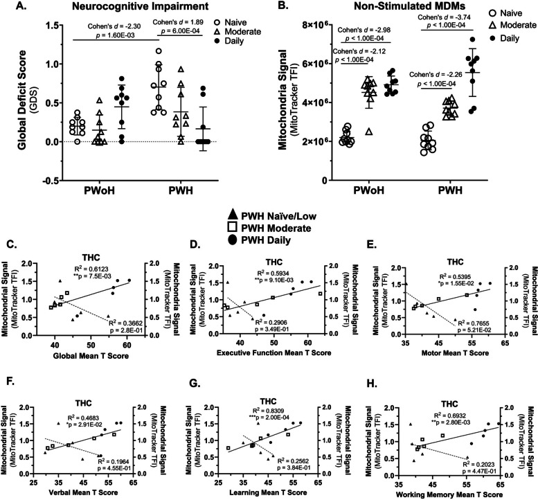 Cannabis use by PWH was associated with better neurocognitive function that correlated with higher mitochondrial signals in MDMs. A NCI was clinically assessed using the Global Deficit Score (GDS, 0 = no impairment, 1.5 = severe impairment). B Mitochondria signal in non-stimulated MDMs was quantified via MitoTracker total fluorescence intensity (TFI) on the CX5. C–H Correlations with THC-stimulated MDMs included GDS, Executive Function, Motor skills, Verbal skills, Learning, and Working Memory. Statistics: Two-way ANOVA with Tukey’s Multiple Comparisons Test. Simple Linear Regression Analysis. (B) Mitochondrial Signal: Inter-assay CV = 9.2%; Mitochondrial Signal LLOQ: 10 nM; GDS PWoH Naïve/Low vs PWH Naïve/Low: Cohen’s d = −2.30 and effect-size r = −0.76; GDS PWH Naïve/Low vs PWH Daily: Cohen’s d = 1.89 and effect-size r = 0.69; Mitochondrial Signal PWoH Naïve/Low vs PWH Naïve/Low: Cohen’s d = −6.94 and effect-size r = −0.96; Mitochondrial Signal PWH Naïve/Low vs PWH Daily: Cohen’s d = −3.74 and effect-size r = −0.88. GDS PWoH Naïve/Low vs PWH Naïve/Low: 95% CI [−0.71, −0.3]; GDS PWH Naïve/Low vs PWH Daily: 95% CI [0.27, 0.8]; Mitochondrial Signal PWoH Naïve/Low vs PWH Naïve/Low: 95% CI [−3074198.2, −2,352,554.9]; Mitochondrial Signal PWH Naïve/Low vs PWH Daily: 95% CI [−4354553.22, −2,629,851.48]; Global Mean T Score: 95% CI [0.01078, 0.05059], effect-size r = 0.97; Exec. Function Score: 95% CI [0.2732, 0.9427], effect-size r = 0.77; Motor Score: 95% CI [0.1951, 0.9328], effect-size r = 0.73; Verbal Score: 95% CI [0.09608, 0.9183], effect-size r = 0.68; Learning Score: 95% CI [0.6617, 0.9792], effect-size r = 0.91; Working Memory Score: 95% CI [0.4266, 0.9593], effect-size r = 0.83; (A-B) n = 9 donors per group; (C – H) n = 5 donors per group