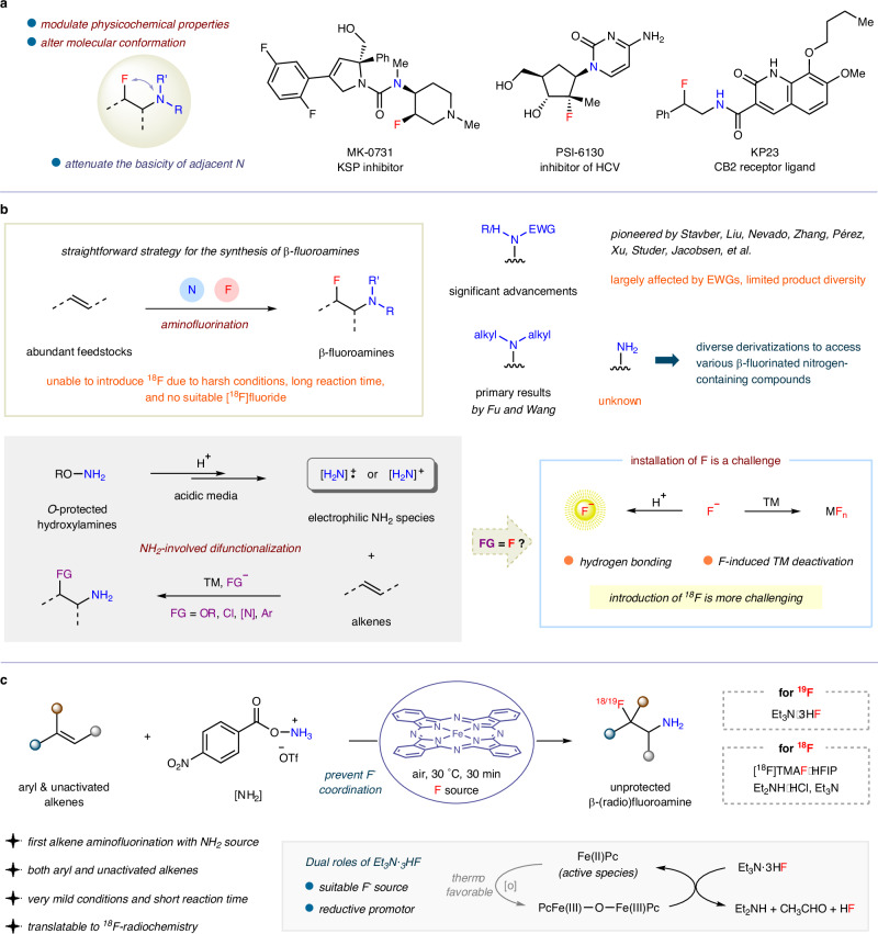 The ubiquity and chemical synthesis of β-fluoroamines.a Widespread presence of β-fluoroamine motifs in biologically active molecules. b Intermolecular aminative alkene difunctionalization in current stage. c Iron-catalyzed amino(radio)fluorination of alkenes to synthesize unprotected β-(radio)fluoroamines (this work).