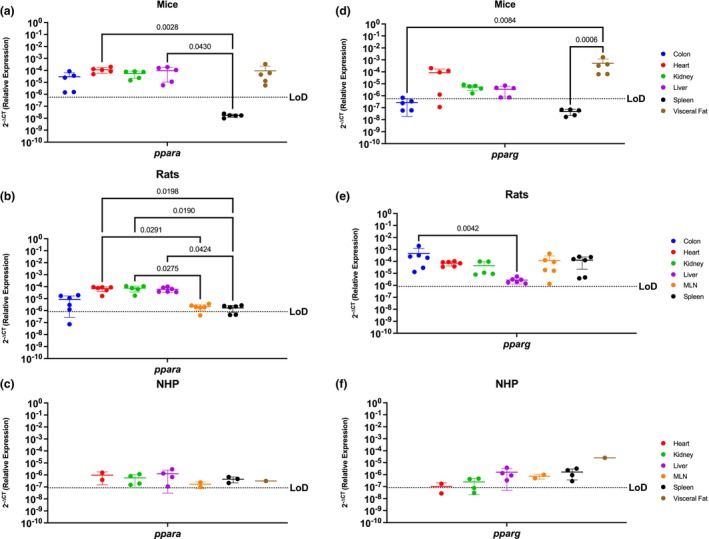 Peroxisome Proliferator Activated Receptors, Ppara and Pparg, Are Generally Well Conserved In All Organs Of Mice, Rats and NHP. Relative expression of ppara and pparg was determined using qPCR from the colon, heart, kidney, liver, MLN, spleen, and visceral fat from mice, rats, and NHP. (a) Ppara mRNA was detected in all the organs tested in mice, except for the spleen. It had significantly higher levels in the kidney when compared with the colon and the spleen. (b) In rats, ppara mRNA was detected in the colon (4/6 rats), heart, liver, kidney, MLN (5/6 rats), and spleen (4/6 rats). Ppara in the rat model was significantly higher in the heart, kidney, and liver, when compared to the colon, MLN, and spleen. (c) Ppara was detected in all organs tested in the periphery of the NHP model at comparable levels for all the evaluated organs. (d) Mouse pparg was similar to ppara, being detected in the colon (3/5 mice), heart (4/5 mice), kidney, liver (4/5 mice), and the visceral fat. Detection of this gene was higher in visceral fat when compared to the colon, kidney, liver, and spleen. (e) Pparg was detected in all the organs available for the rat model with no statistical significance among any organ. (f) Pparg in the NHP model was also detected in all available organs for the NHP model, having only partial detection in the heart (1/2 rhesus) and the kidney (3/4 rhesus). Interestingly, pparg was significantly higher in the visceral fat when compared with all other tissues. It is worth mentioning that neither of these genes were detected in the spleen of mice, contrary to the other animal models. Data are graphed as the mean ± SD.
