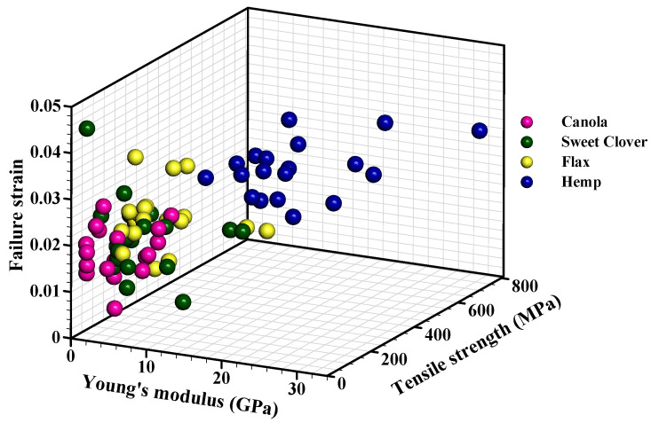 Failure strain, tensile strength, and Young’s modulus of the studied fiber bundles.