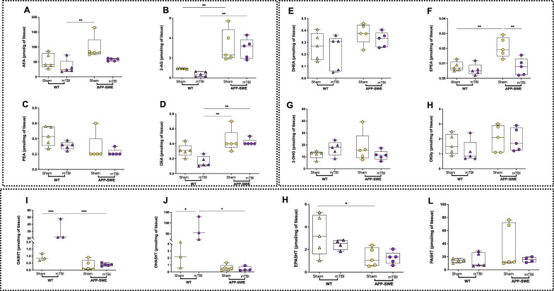 Effects of mTBI on endocannabinoids and N-acylethanolamine, monoacylglycerol and N-acylserotonin levels in the cortex of APP-SWE mice and their WT controls. A Levels of anandamide (AEA) expressed as pmol/g of tissue weight. B Levels of 2-arachidonoyl glycerol (2-AG) expressed as pmol/mg of tissue weight. C Levels of N-palmitoylethanolamine (PEA) expressed as pmol/mg of tissue weight. D Levels of N-oleoylethanolamine (OEA) expressed as pmol/mg of tissue weight. E Levels of N-docosahexaenoylethanolamine (DHEA) expressed as pmol/mg of tissue weight. F Levels of N-eicosapentaenoyl ethanolamine (EPEA) expressed as pmol/mg of tissue weight. G 2-docosahexaenoylglycerol (2-DHG) expressed as pmol/mg of tissue weight. H N-oleoylglycine (OlGly) expressed as pmol/mg of tissue weight. I N-oleoylserotonin (OA5HT) expressed as pmol/mg of tissue weight. J N-docosahexaenoylserotonin (DHA5HT) expressed as pmol/mg of tissue weight. K N-eicosapentaenoylserotonin (EPA5HT) is expressed as pmol/mg of tissue weight. L N-palmitoylserotonin (PA5HT) is expressed as pmol/mg of tissue weight. Statistical analysis was performed by Two-way analysis of variance (ANOVA) followed by Tukey's multiple comparison test (*P ≤ 0.05; **P ≤ 0.01). Data are represented as boxplots with individual points