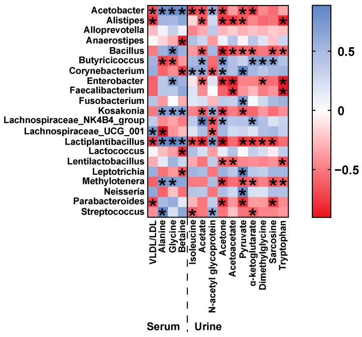 Heat map of the correlation between model group and hemp seed oil group on serum and urine differential metabolites and differential gut microbiota. The colors range from red (negative correlation) to blue (positive correlation). * p < 0.05 shows a significant correlation.