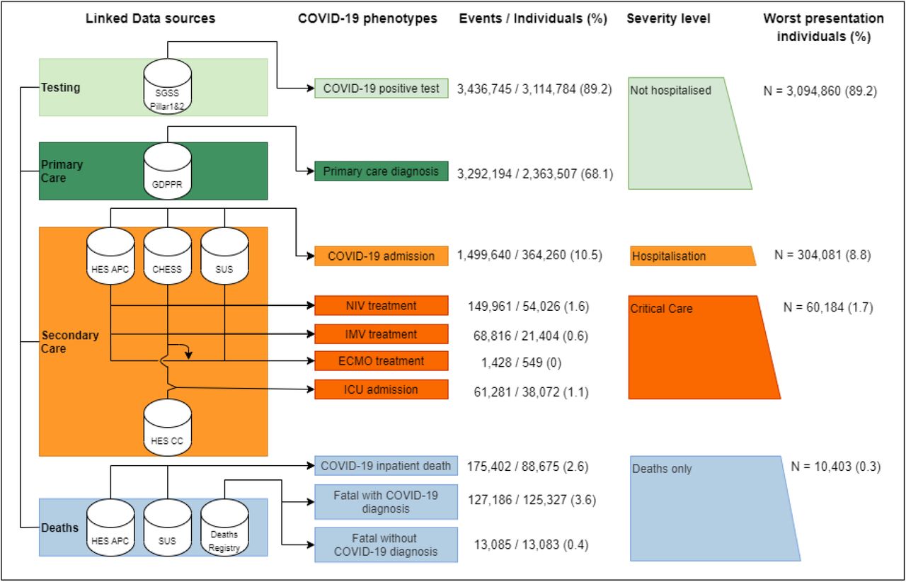 Framework describing the phenotyping of the ten COVID-19 phenotypes, and their severity categories, using seven linked data sources in 56.6 million people, to evaluate difference between wave and vaccination status.Sources used to identify each step are indicated with data buckets on the left and COVID-19 events in rectangles on the right. In all sources, ontology terms for both suspected and confirmed diagnosis were used. (%) indicate the percentage of individuals with a given COVID-19 event phenotype out of all individuals with any event phenotype. SGSS (Second Generation Surveillance System). Pillar 1 includes tests from NHS hospitals for those with a clinical need and healthcare workers. Pillar 2 is swab testing from the wider population. GDPPR (General Practice Extraction Service Extract for Pandemic Planning and Research) Primary care EHR diagnosis. HES (Hospital episode statistics), APC (Admitted Patient Care), CC (Critical Care), SUS (Secondary Uses Service) and CHESS (COVID-19 Hospitalisations in England Surveillance System). Ventilation support is defined either as NIV (Non-Invasive Ventilation), (IMV) Invasive Mechanical Ventilation or (ECMO) Extracorporeal Membrane Oxygenation (ECMO). HES CC does not give info on ECMO treatments.