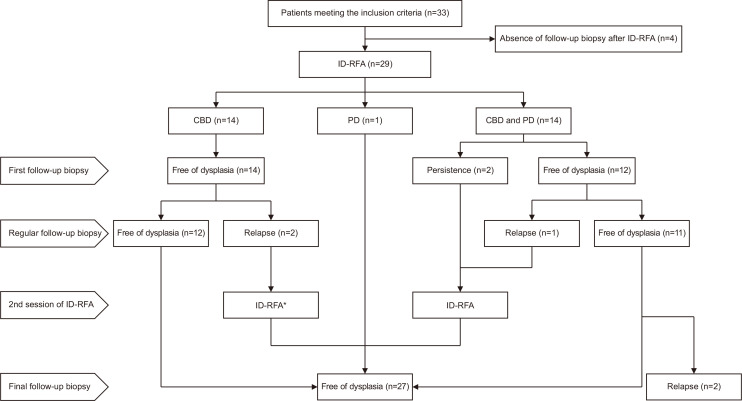Flowchart of the outcomes of ID-RFA.ID-RFA, intraductal-radiofrequency ablation; CBD, common bile duct; PD, pancreatic duct. *One patient underwent additional two sessions of ID-RFA.
