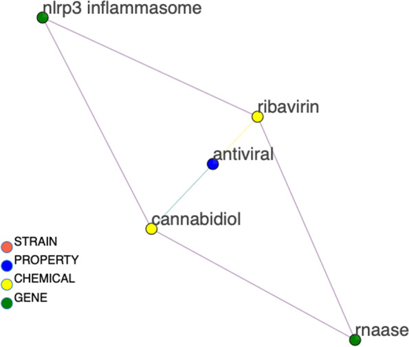 Final condensed version of the CBD, ribavirin, and antiviral cross-reference sub-graph clearly showing the requisitioned common gene connections