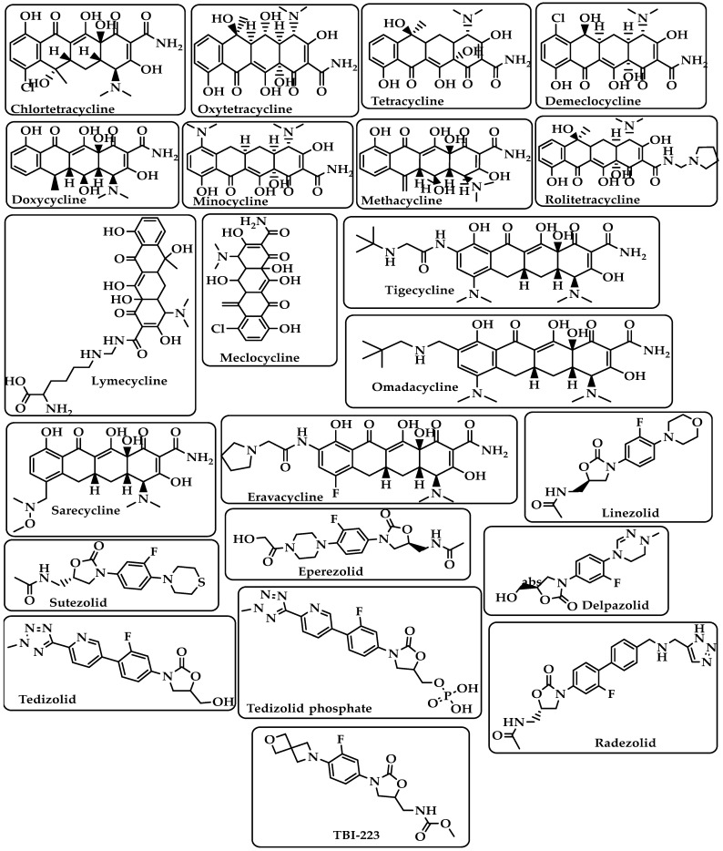 Chemical structure of chlortetracycline, oxytetracycline, tetracycline, demeclocycline, doxycycline, minocycline, lymecycline, meclocycline, methacycline, rolitetracycline, tigecycline, omadacycline, sarecycline, eravacycline, linezolid, sutezolid, eperezolid, delpazolid, tedizolid, tedizolid phosphate, radezolid, and TBI-223.