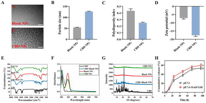 Structural analysis of CBD NPs. (A) TEM images of (a) Blank NPs, and (b) CBD NPs. The scale bar = 200 nm. (B) The particle size, (C) polydispersity index, and (D) zeta potential. (E) Infrared spectra, (F) ultraviolet spectra, and (G) X-ray diffraction pattern. (H) In vitro drug release behavior. The values are presented as the mean ± SD (n = 3). a,b Different letters represent significant differences (p < 0.05).