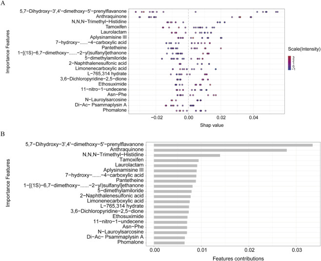 Panel A shows a SHAP summary plot displaying feature importance for various chemical compounds, with SHAP values on the x-axis, colored by intensity scale. Panel B presents a horizontal bar graph ranking the same features by their overall contribution, with 5,7-dihydroxy-3',4'-dimethoxy-5''-prenylflavanone as the most important feature.