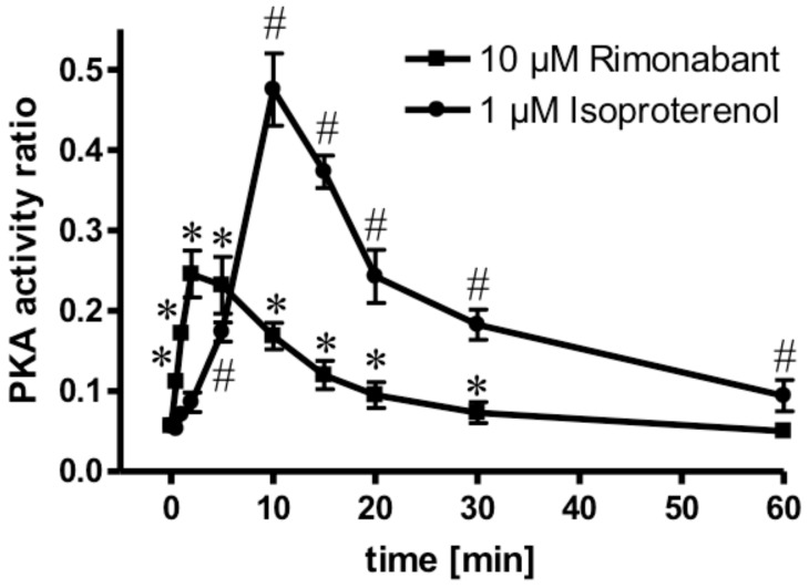 Activation of PKA by Rimonabant during adipocyte lipolysis. Primary rat adipocytes were incubated (37 °C) in the absence or presence of 1 µM isoproterenol (●) or 10 µM Rimonabant (■) for increasing periods of time and then rapidly deep-frozen. After preparation of cytosolic fractions, identical amounts of protein were assayed for the PKA activity ratio (see Materials and Methods). The portion of PKA activated at the time point of deep-freezing of the adipocytes was calculated as the ratio of Kemptide phosphorylated in the absence and presence of cAMP. Mean ± SD of three incubations with electrophoretic separations in duplicate. * (10 µM Rimonabant), # (1 µM Rimonabant) p ≤ 0.01 vs. time 0.