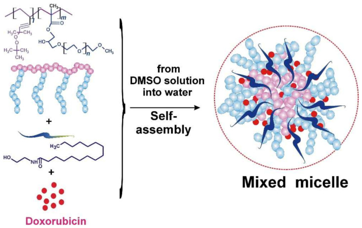 General scheme of the formation of a complex with Dx in mixed micelles with PC + NSE.