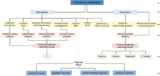 Biological pathways graph for sulforaphane + risperidone treatment. The numbers point to a given category level as follows: (i) Treatement; (ii) Compound; (iii) Pathway information; (iv) Compound global pathway; (v) Associated drugs; (vi) Observed effects.Abbreviations: ERK: Extracellular signal-regulated kinase; IL-1β: Interleukin 1 beta; IL-6: Interleukin 6; NF-κB: Nuclear factor kappa B; Nrf2: Nuclear factor erythroid 2-related factor 2; TNF-α: Tumor necrosis factor-alpha.