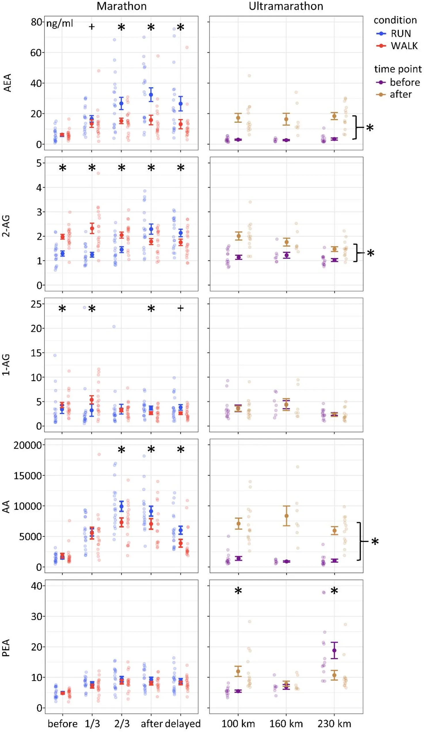 Endocannabinoid responses during marathon running (n = 19, Lake Baldeney, Essen) and ultramarathon competition (n = 36, TTdR). Circulating concentrations in ng/mL of eCBs and related lipids measured during a marathon (left panels) and ultramarathon competition (right panels). During the marathon, blood samples were collected before exercise (0 km), after each completed lap (14 km; 28 km), immediately after the run (≈ 42.94 km), and 45 min post-exercise, comparing running (RUN) and walking (WALK) conditions. During ultramarathons, samples were obtained before and after completion of 100-km, 160-km, and 230-km distances. Individual data points represent single participants; error bars indicate means ± standard error of the mean. Asterisks indicate significant interaction effects (p < .05), reflecting differences between RUN and WALK at specific marathon time points or between before and after within a given ultramarathon distance, while crosses (+) denote trend-level effects (0.05 ≤ p < .10). Brackets with asterisks denote significant main effects of time (before vs. after) across all ultramarathon distances. Main effects of distance are not shown for clarity. AEA, anandamide (N-arachidonoylethanolamine); 2-AG, 2-arachidonoylglycerol; 1-AG, 1-arachidonoylglycerol; AA, arachidonic acid; PEA, palmitoylethanolamide; RUN, running; WALK, walking